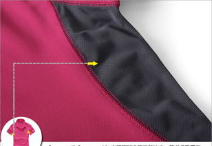 戶外運動裝備選購指南 科海特登山用品吸濕排汗運動服T恤解析